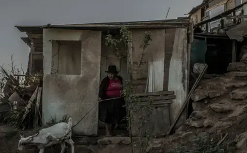 A woman wearing a black hat, a pink shirt, and a dark skirt stands in the doorway of a shack on a mountainside. She is holding a rope attached to a white goat that is pulling away from her.