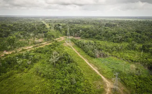 Imagem aérea de obras como estradas e torres de eletricidade na floresta.