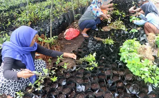 Anggota masyarakat berkumpul untuk menanam barisan bibit pohon.