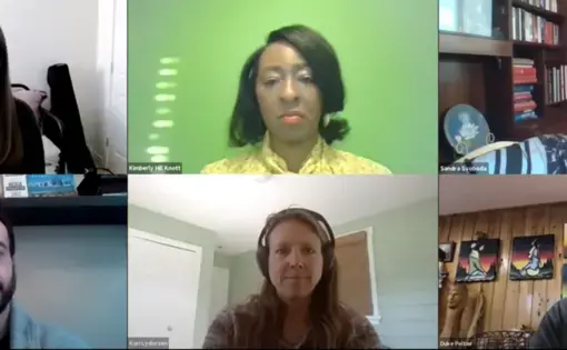 A screenshot of the webinar on Zoom.