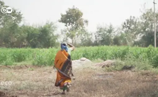 Woman Farmer in Telangana