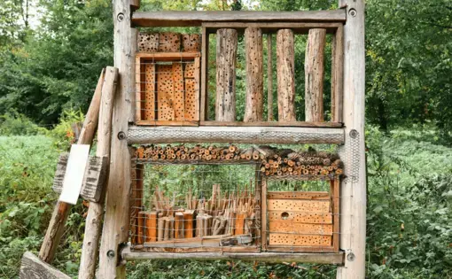 Insect house hotel made out of natural wood material created to provide shelter for insects to prevent their extinction. Image by Shutterstock.