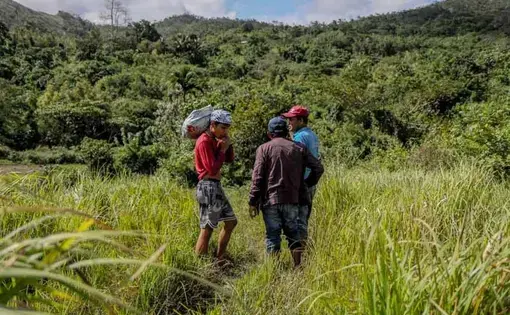 Three Filipino farmers walk together towards a forest restoration site.