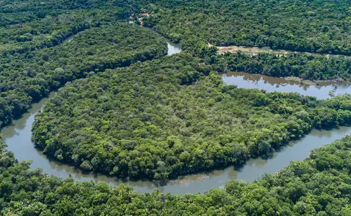 Aerial view of a meandering Amazon tributary river