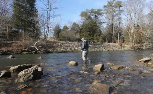 A man with a fishing pole wades through a river. The water is about just above his ankles.
