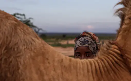 A girl peers over an object, by which her face is half-obscured.
