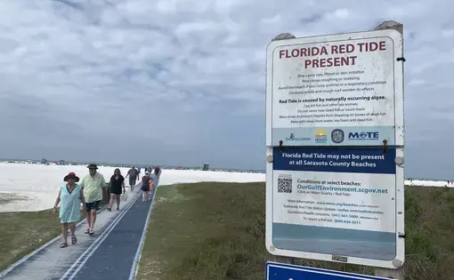 A sign reads "Florida Red Tide Present" in front of pedestrians walking to and from Siesta Beach in Florida.