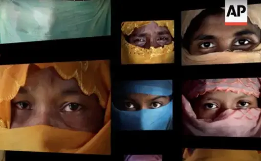 Screenshot of Video