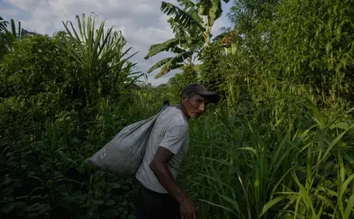 Yuqui fisherman walking through forest on his way to the river.