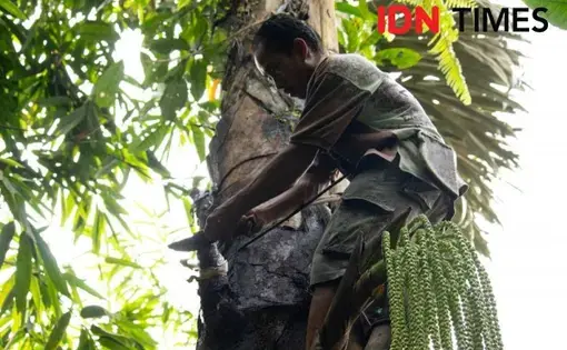 IDN Times/Dhana Kencana