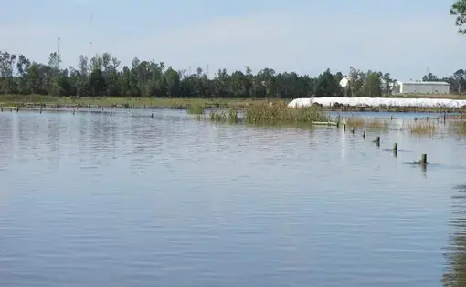 Flooded crop and pasture lands. In the distance, past the flooding, are trees and a small, white, one-story building off to the right.