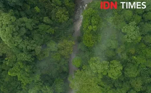 Hutan hujan tropis Petungkriyono di Pekalongan. IDN Times/Dhana Kencana