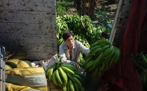A local man is looking to purchase a banana.