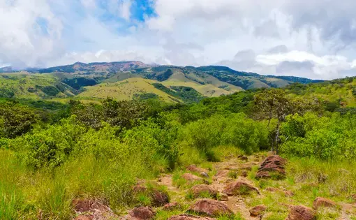 Green landscape in a national park.