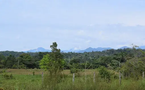 Mountainous territory of the Awá people, in southern Colombia.