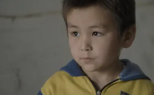 Portrait of a boy.