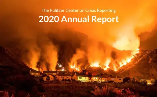 Image by Meridith Kohut. United States, 2020.
