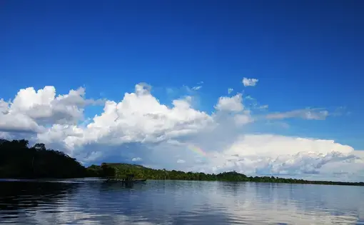 Image of a body of water with trees and a partial rainbow visible in the distance. In the water is a long rowboat with a few people aboard.