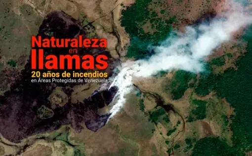 Naturaleza en llamas: 20 años de incendios en Áreas Protegidas de Venezuela