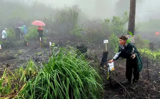 a volunteer helping replant the forest standing by a hole dug in the soil