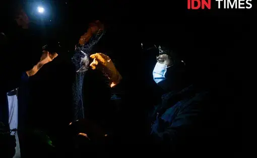 Tim peneliti menangkap Kelelawar di hutan hujan tropis Petungkriyono di Pekalongan, Jawa Tengah. IDN Times/Dhana Kencana