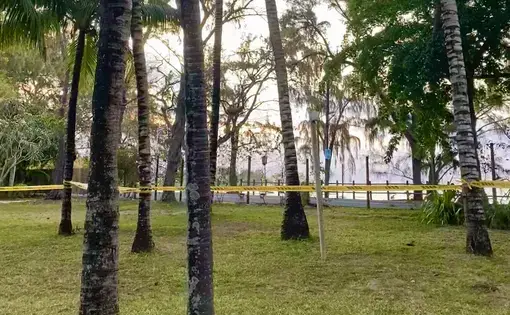 Yellow tape is tied between palm trees. There is a street in the background.
