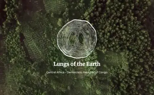 "Lungs of the earth" written over an aerial view of a forest