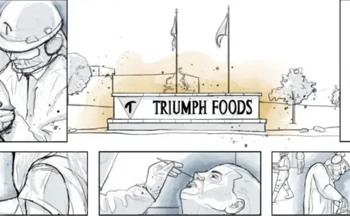 Graphics and illustrations by Veronica Bravo, Jennifer Borresen, Javier Zarracina, USA TODAY; Shane Keyser, Midwest Center for Investigative Reporting.