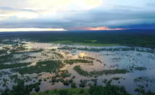 El resguardo de Matavén está ubicado en la transición entre la Amazonia y la Orinoquia. Fuente: Fundación Etnollano.
