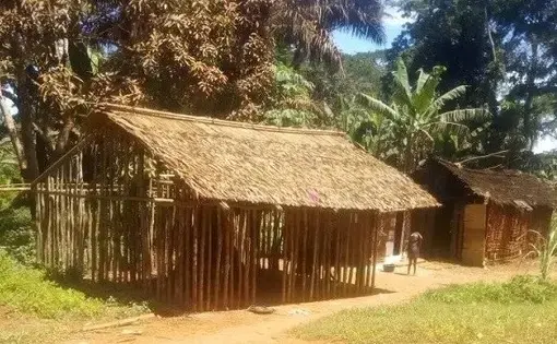 Typical traditional Baka house