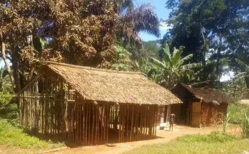 Cameroun, 2021