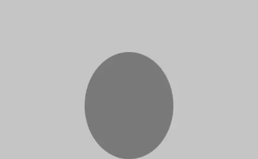Placeholder Image a grey silhouette