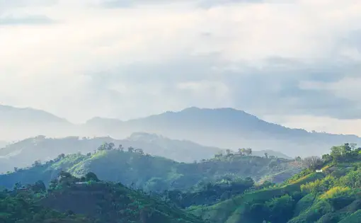 photo of mountains and trees