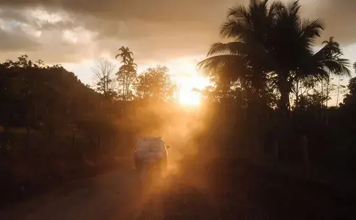 sun coming through rainforests