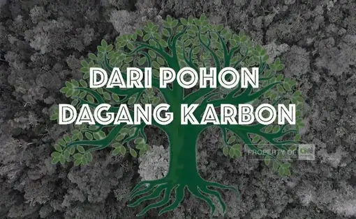 Dari Pohon Dagang Karbon thumbnail