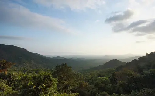 Overhead view of Mollem National Park