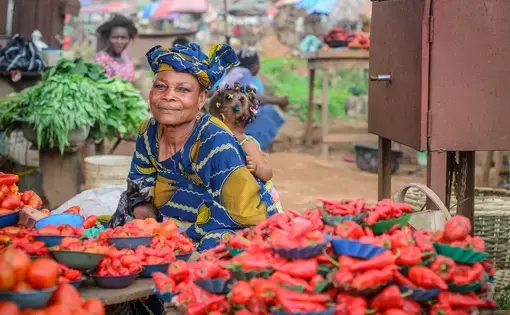 a woman sits at a market behind a table full of with boxes of red peppers