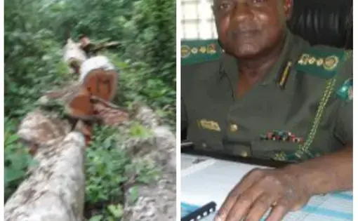 Ibrahim Musa Goni Conservator-General, Nigeria, right, and logging exercise in Cross River National Park, a UNESCO conservation site