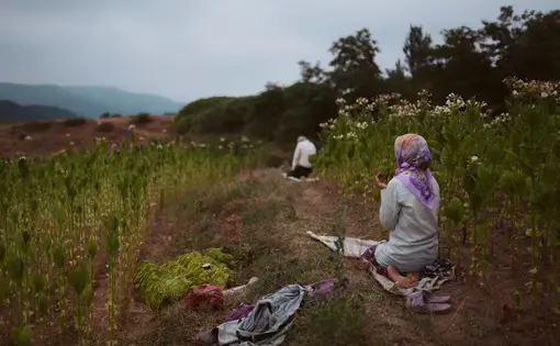 Girl and father perform sunrise prayer in a Bulgarian field