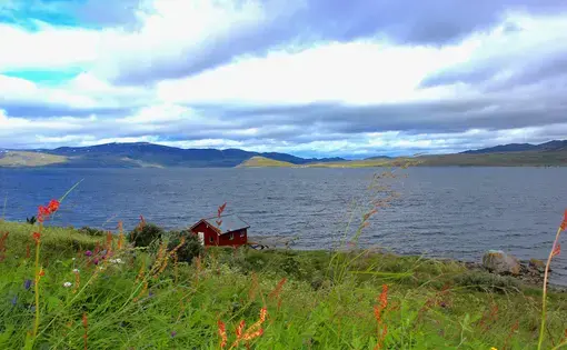 the Repparfjord