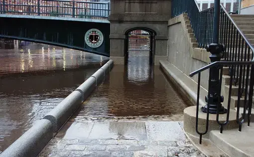 Bridge