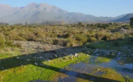 Photo of dried up river