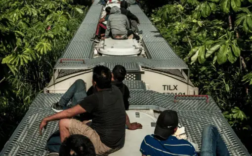 A group of refugees in the forest.