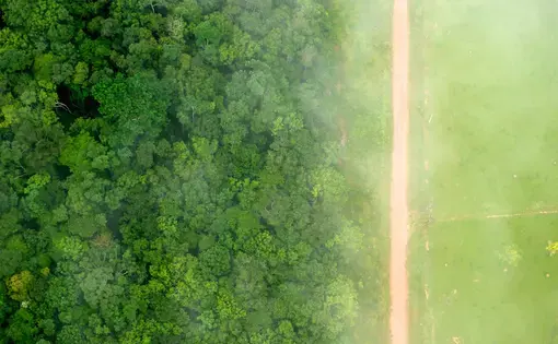 A birds eye view of the stark contrast between the forest and agricultural landscapes near Rio Branco, Acre, Brazil. Image by Kate Evans/CIFOR.