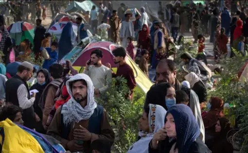 Photo of Afghans
