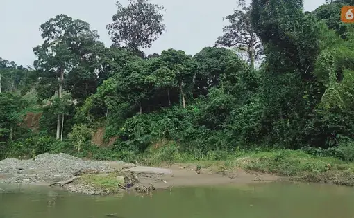 Puddles left behind from illegal gold mining activity around the Guguk Customary Forest area, Guguk Village, Merangin Regency, Jambi. Image by Gresi Plasmanto / Liputan6.com. Indonesia, 2021.