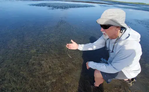 Man in water