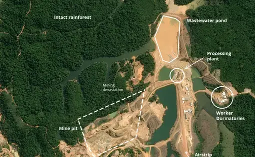Satellite image
