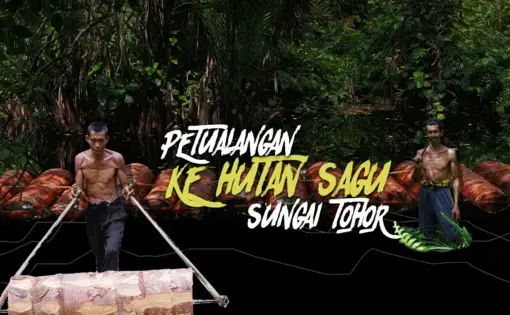Kompas.com