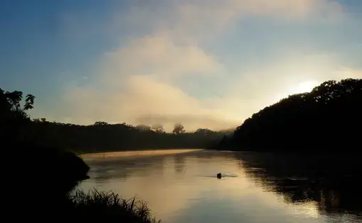 Foto: La Mula.